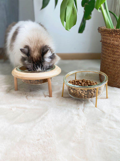 Scandinavian Cat bowl pet bowl