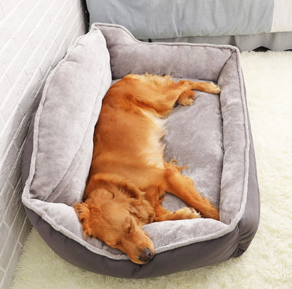 Comfy Canine Sofa Bed