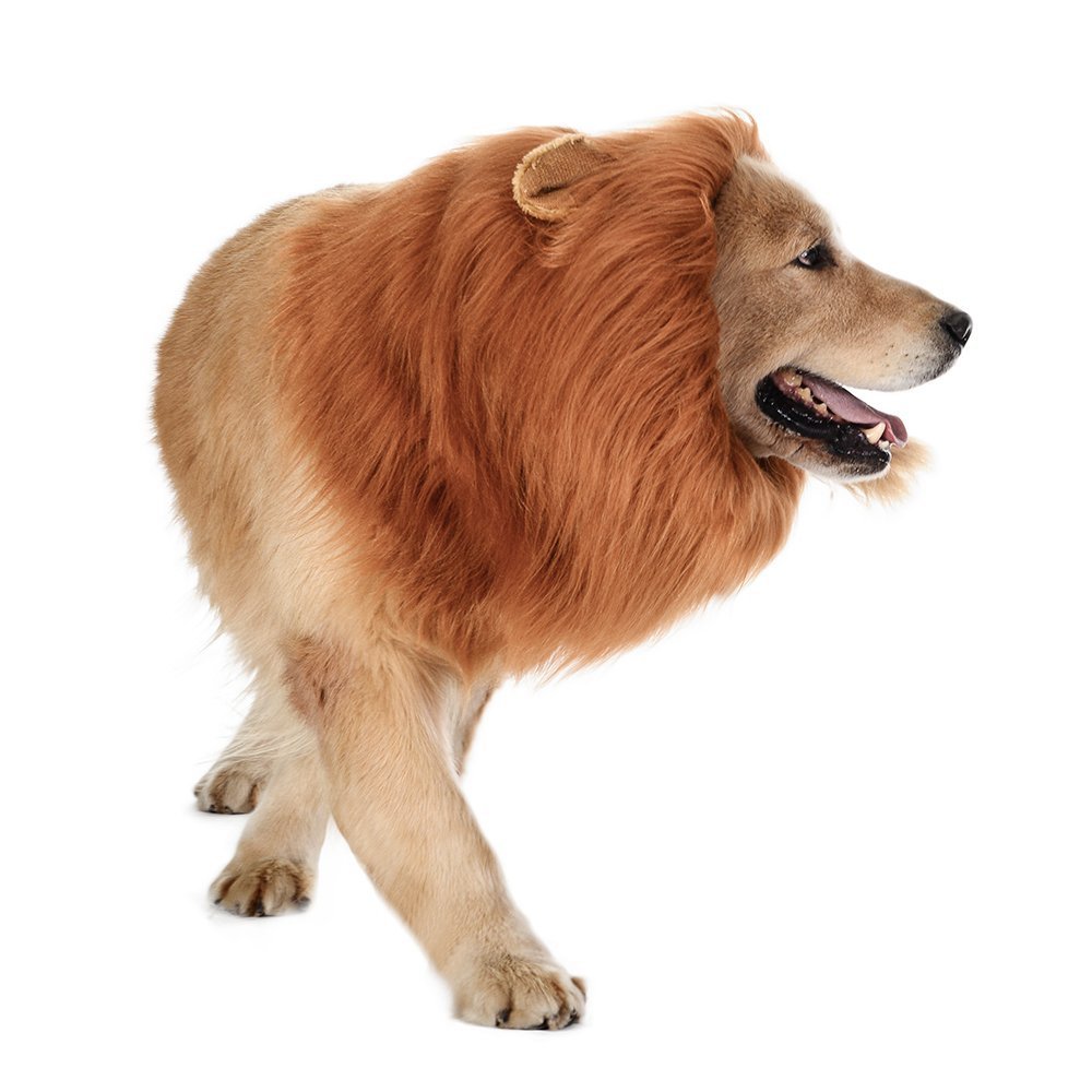 Funny Lion Pet Costume