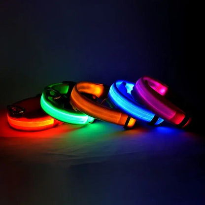 Luminous Pet Safety Collar