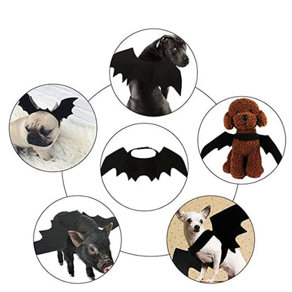 Pet Bat Wings Halloween Costume