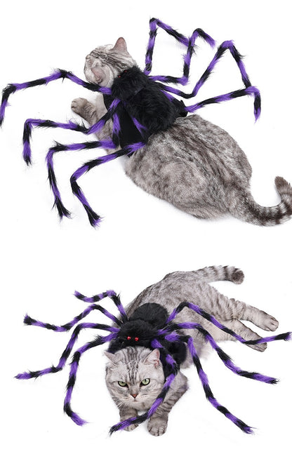 Spooky Spider Costumes