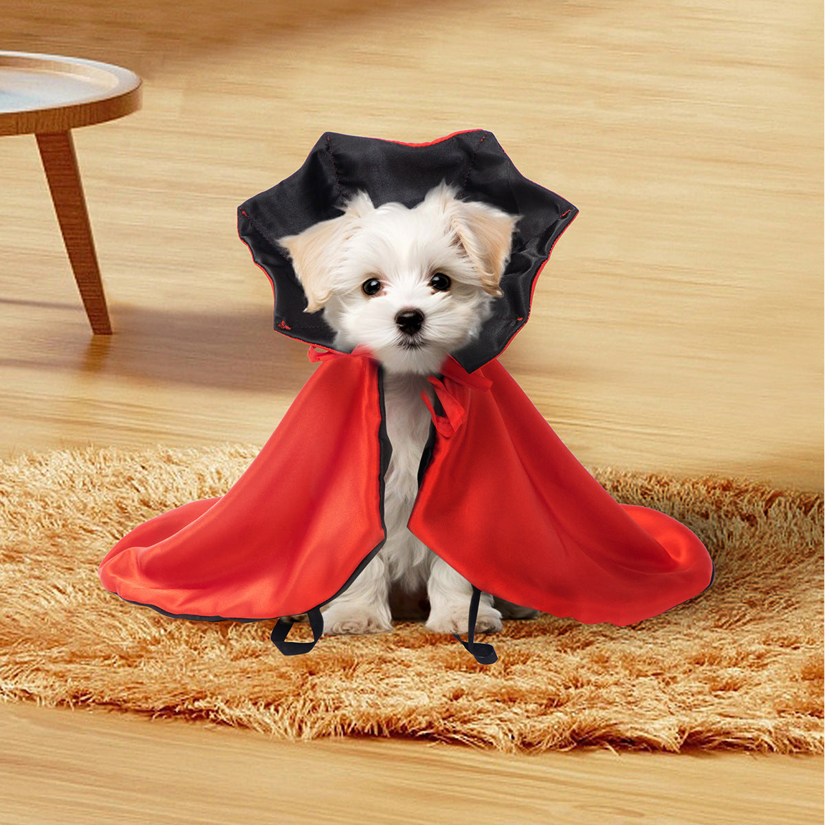 Spooky Pet Halloween Cloak