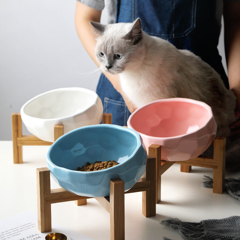 Stylish Pet Bowl Bucket