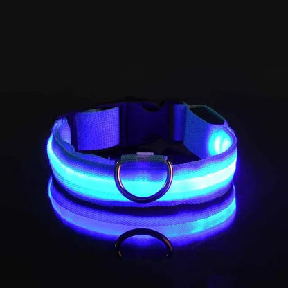 Luminous Pet Safety Collar