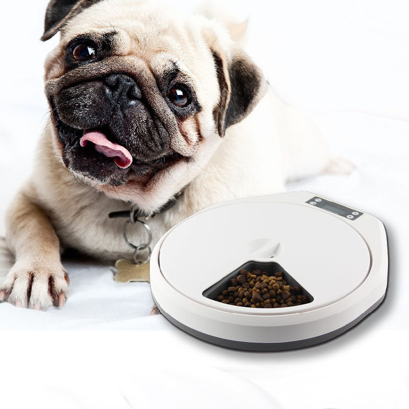 SmartFeed Pet Feeder with Timer