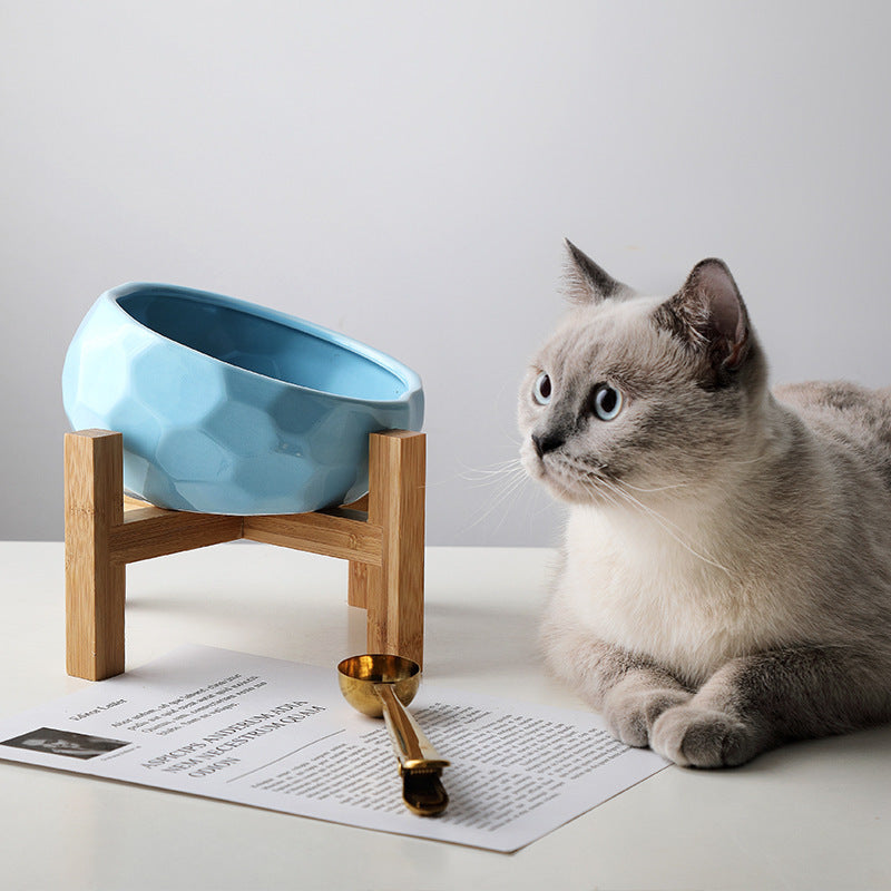 Stylish Pet Bowl Bucket