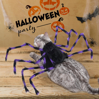 Spooky Spider Costumes