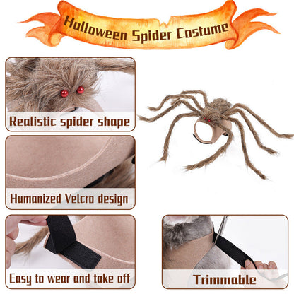 Spooky Spider Costumes