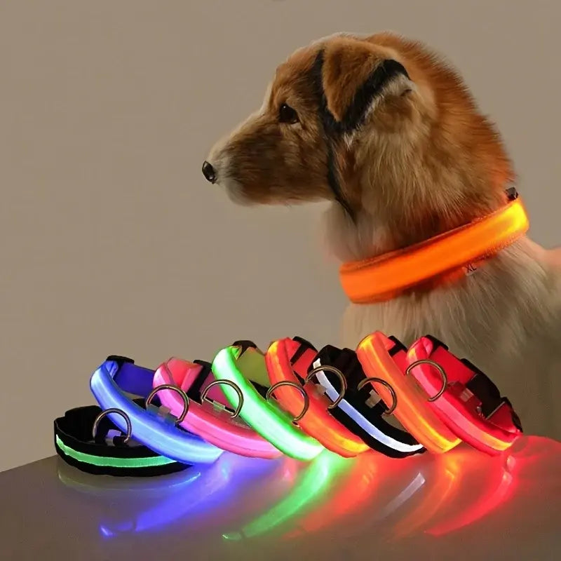 Luminous Pet Safety Collar