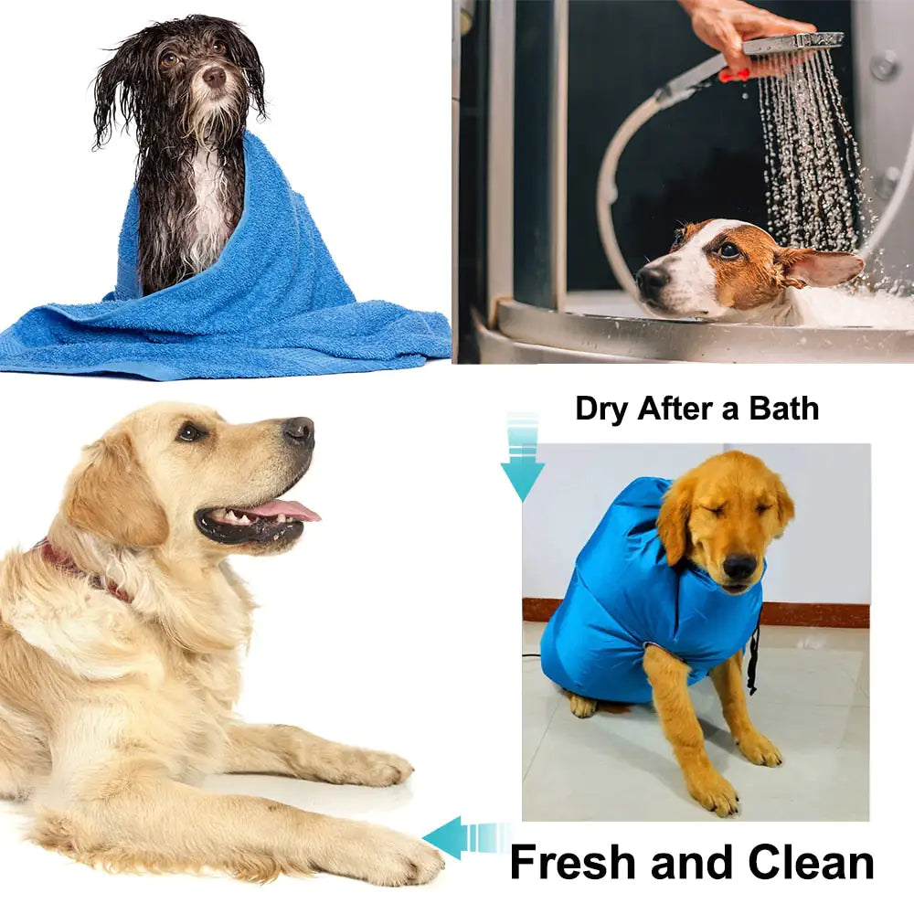 PawDry Portable Pet Dryer