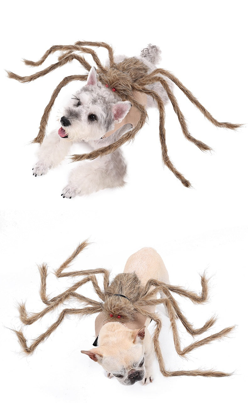 Spooky Spider Costumes