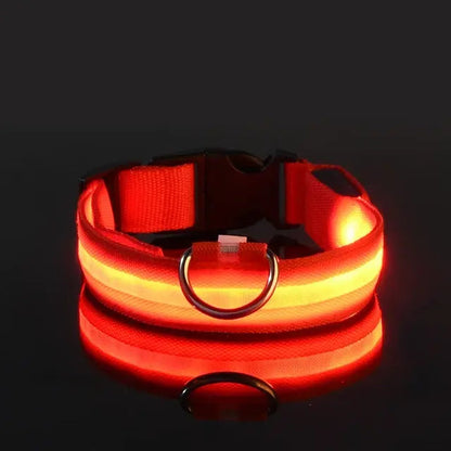 Luminous Pet Safety Collar