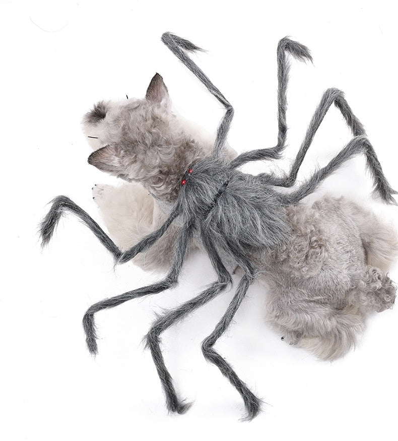 Spooky Spider Costumes