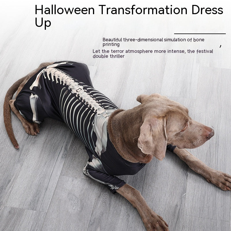 Spooky Paws Halloween Costume (Large dogs)