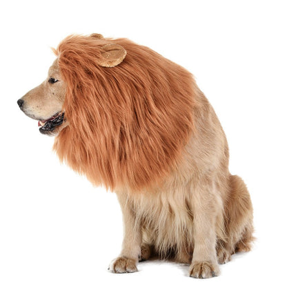 Funny Lion Pet Costume