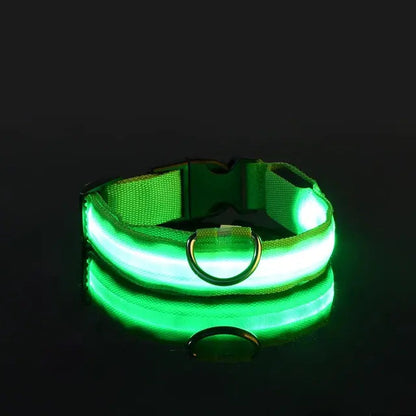 Luminous Pet Safety Collar