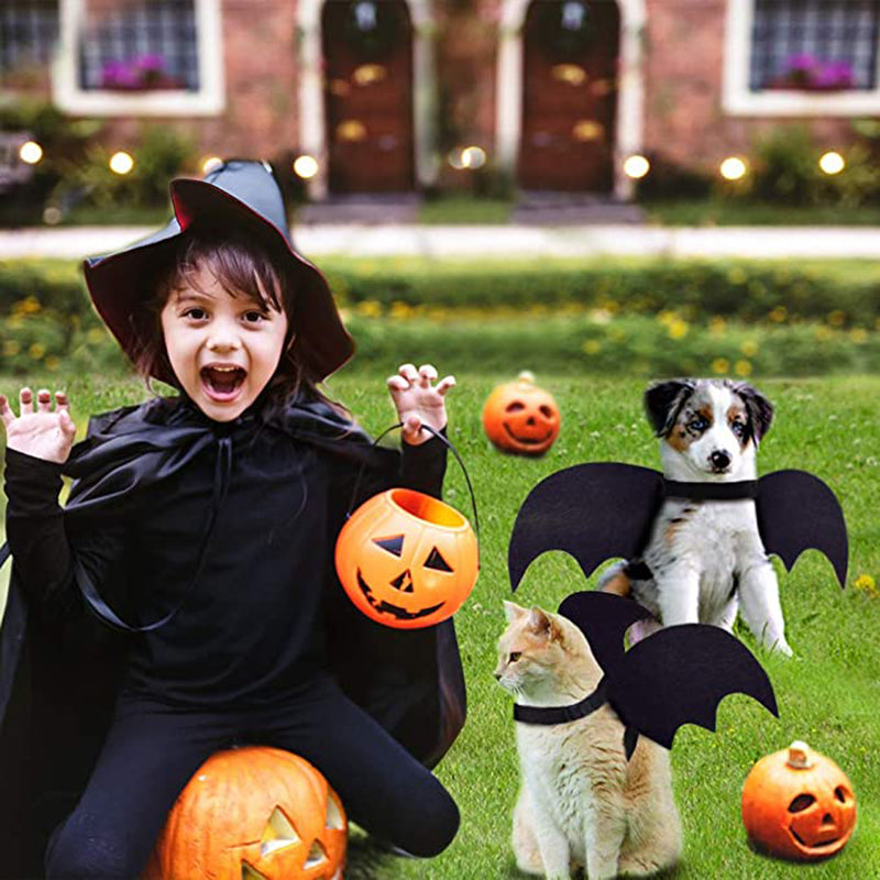 Pet Bat Wings Halloween Costume