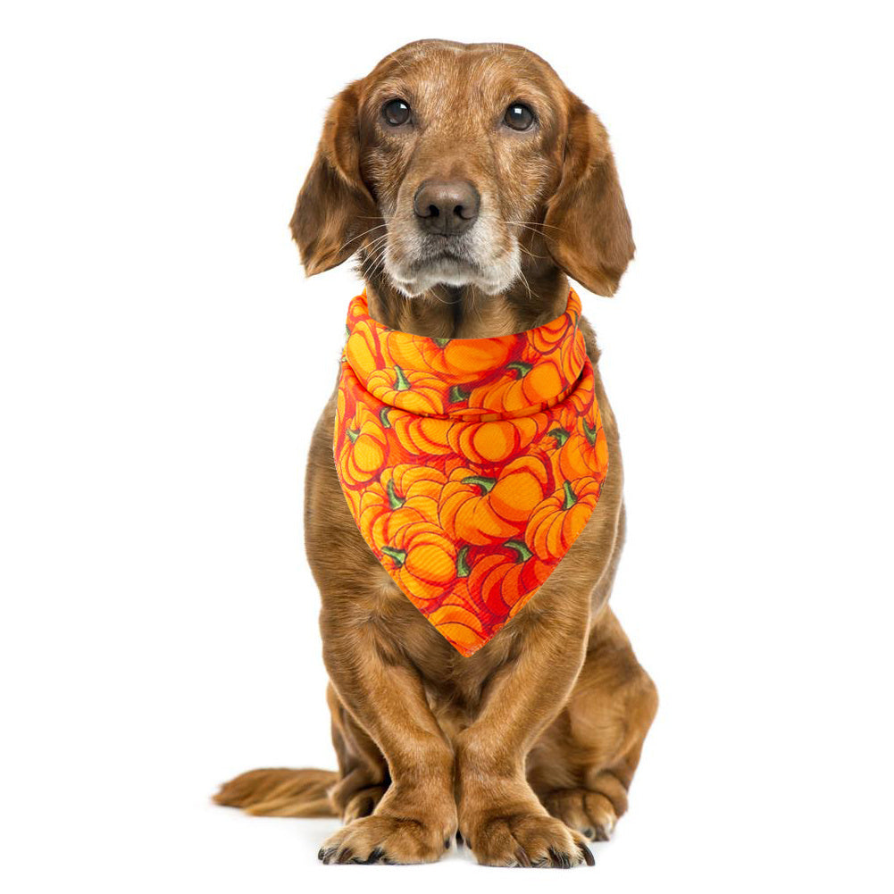 Spooky Pet Bandana