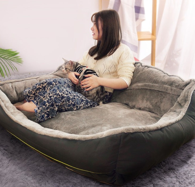 Comfy Canine Sofa Bed