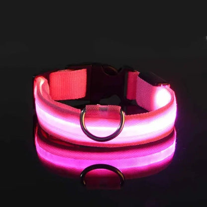 Luminous Pet Safety Collar