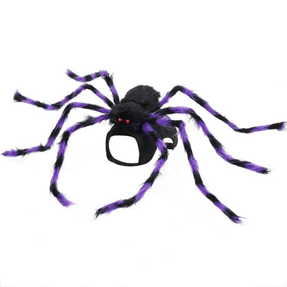 Spooky Spider Costumes