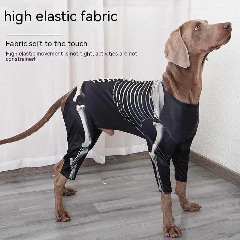 Spooky Paws Halloween Costume (Large dogs)