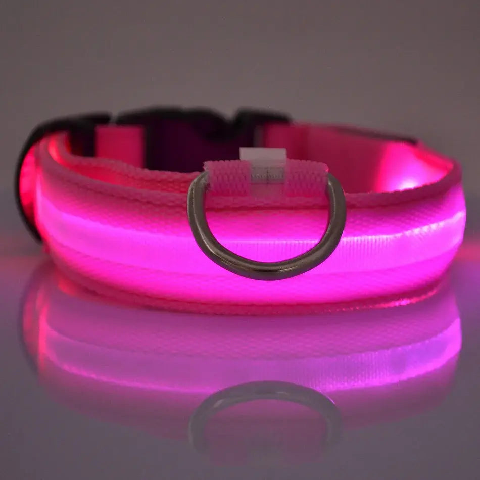 Luminous Pet Safety Collar