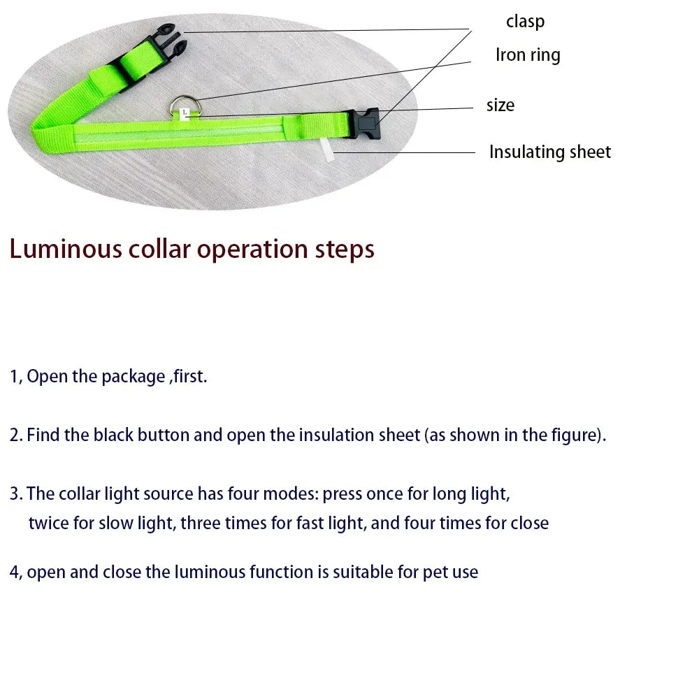 Luminous Pet Safety Collar