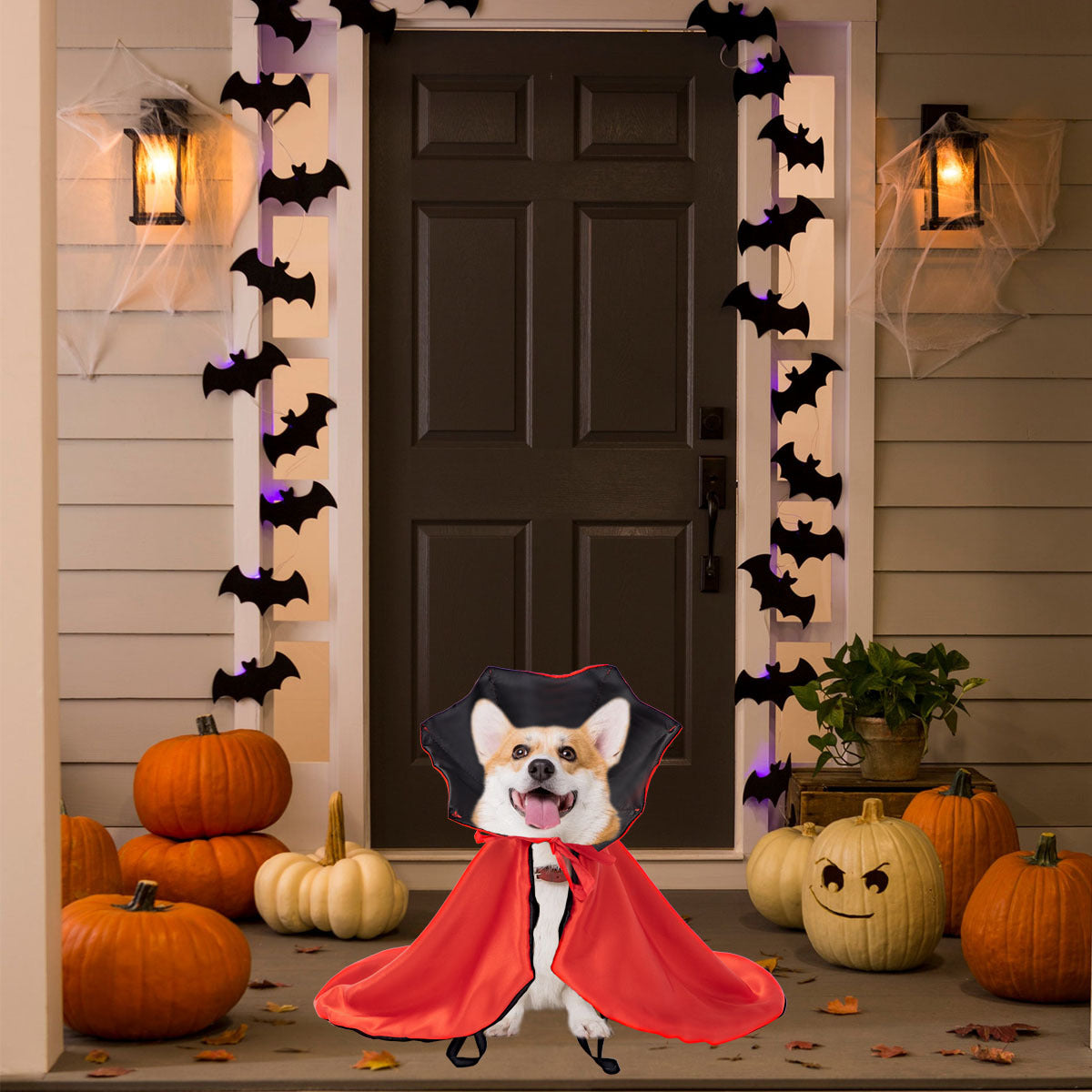 Spooky Pet Halloween Cloak