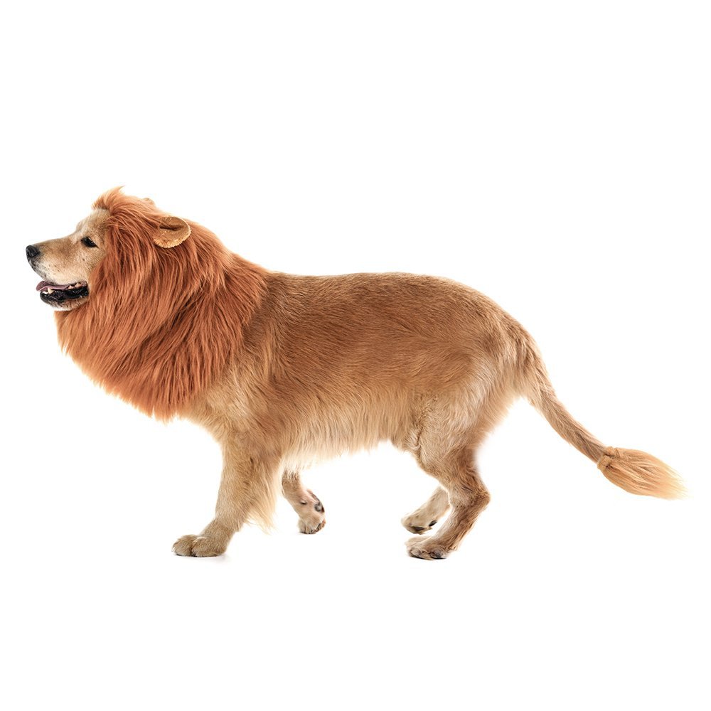 Funny Lion Pet Costume