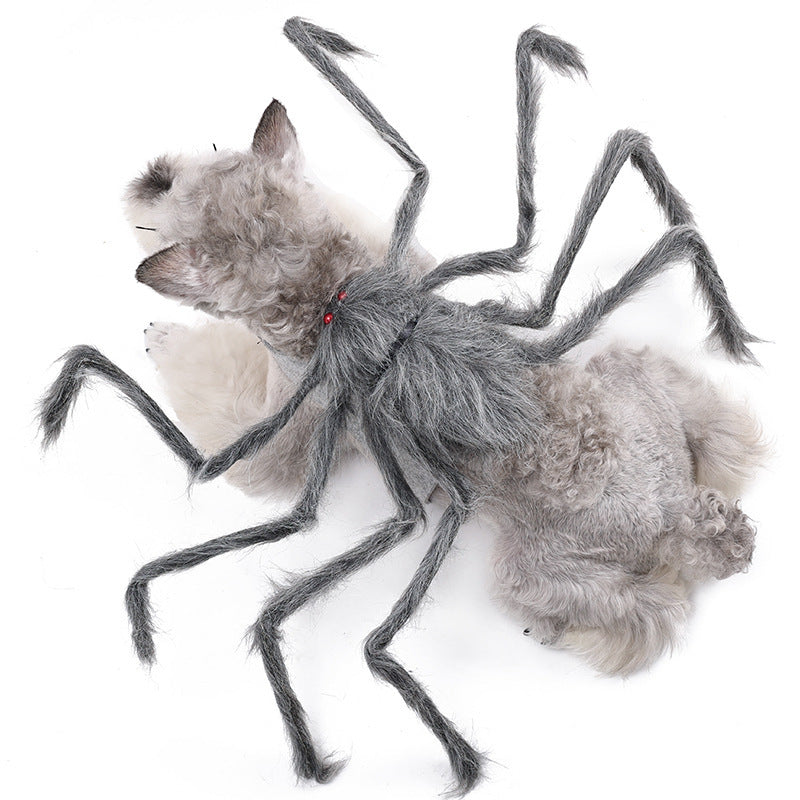 Spooky Spider Costumes