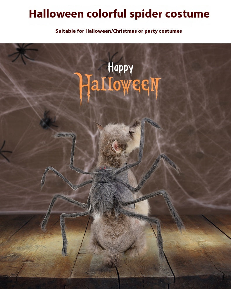 Spooky Spider Costumes